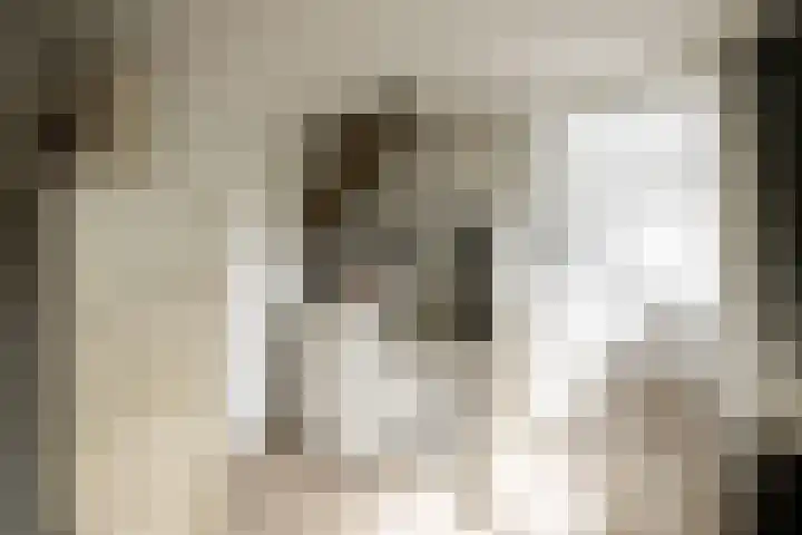 Prof. Asserlaan 4 Heemstede thumbnail 43