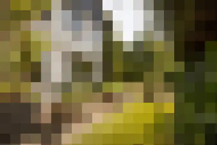 Prof. Asserlaan 4 Heemstede thumbnail 44