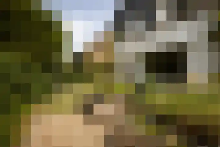 Prof. Asserlaan 4 Heemstede thumbnail 45
