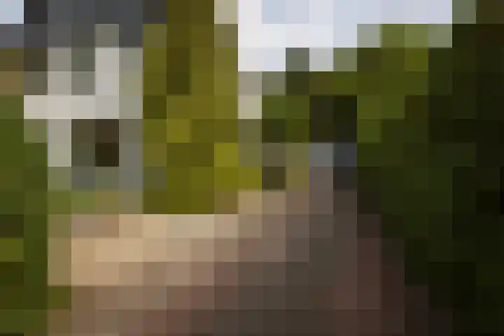 Prof. Asserlaan 4 Heemstede thumbnail 47