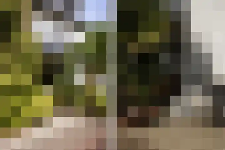 Prof. Asserlaan 4 Heemstede thumbnail 48
