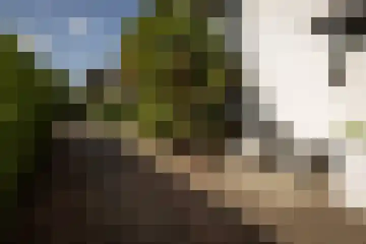 Prof. Asserlaan 4 Heemstede thumbnail 49
