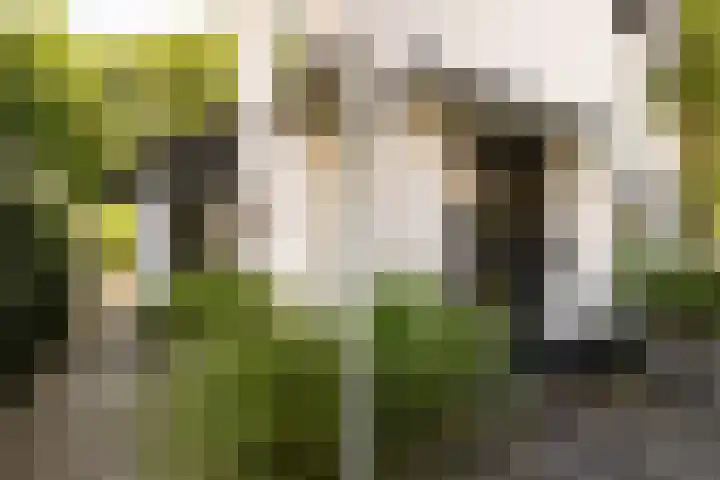 Prof. Asserlaan 4 Heemstede thumbnail 5