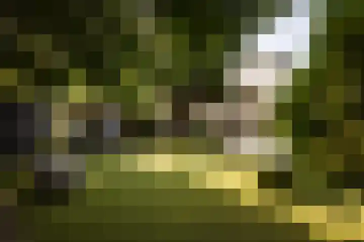 Prof. Asserlaan 4 Heemstede thumbnail 57