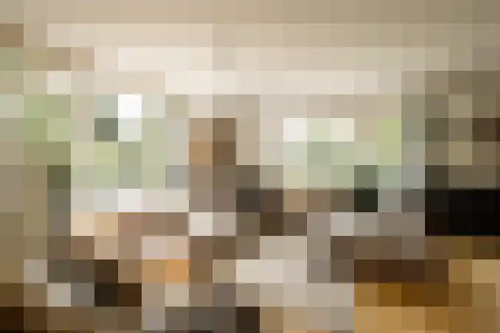 Prof. Asserlaan 4 Heemstede thumbnail 8