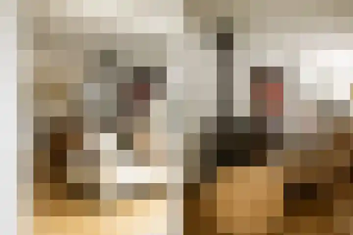 Prof. Asserlaan 4 Heemstede thumbnail 9