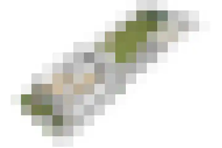 Prof. Asserlaan 9 Baarn thumbnail 46