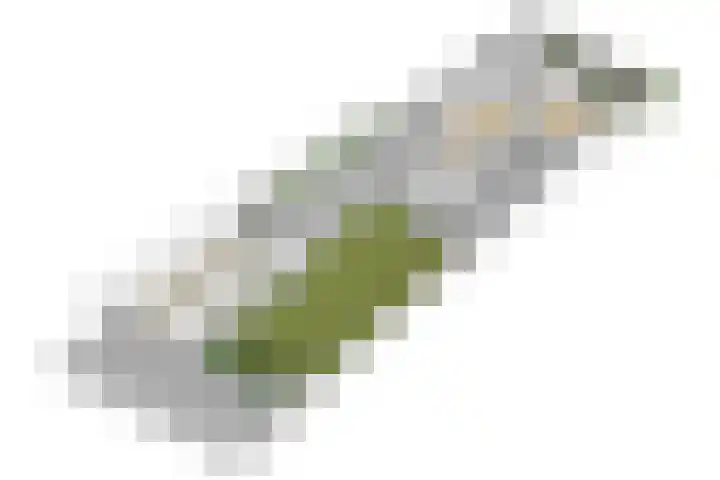 Prof. Asserlaan 9 Baarn thumbnail 47