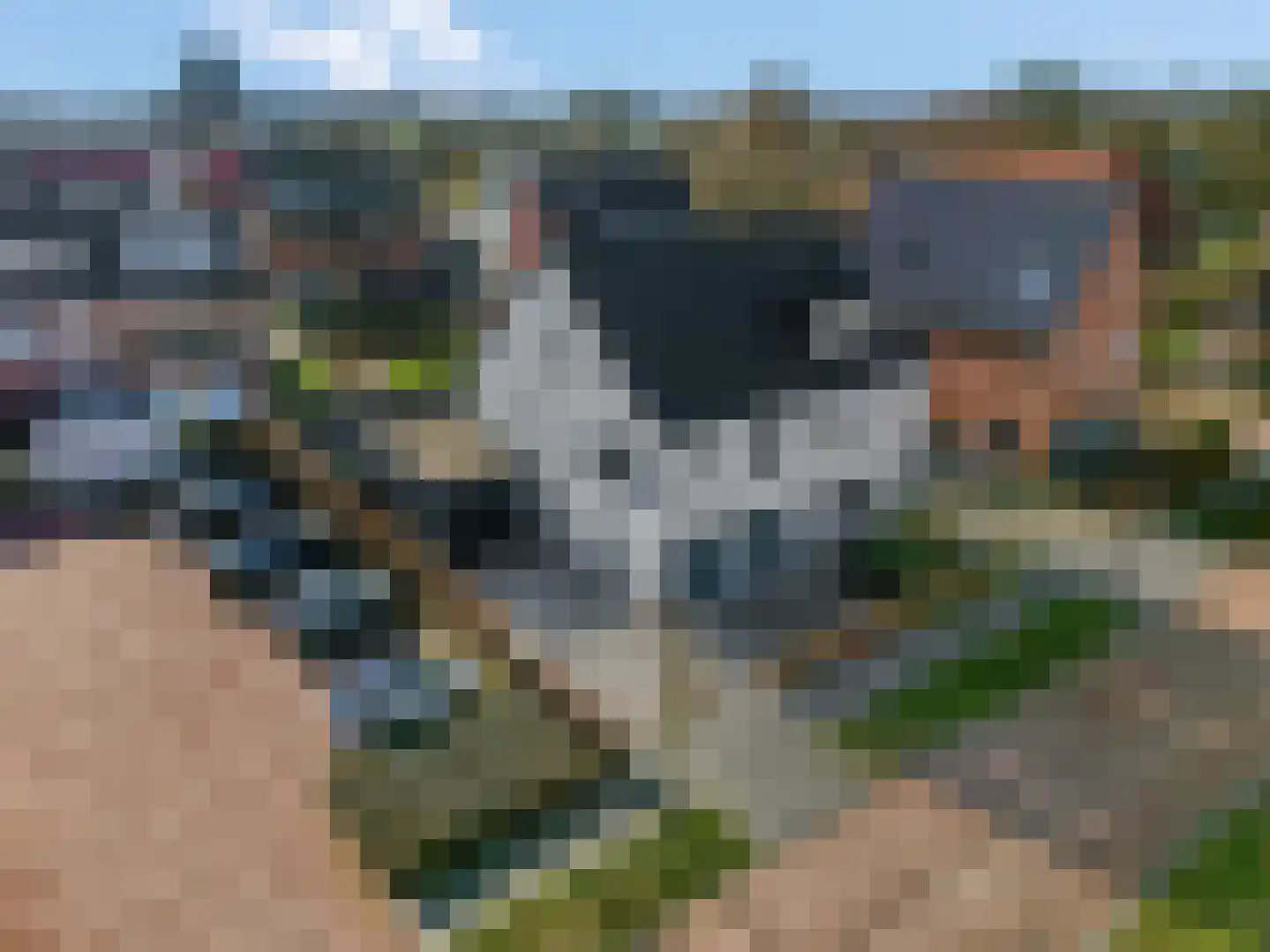 Prof. Bijhouwerstraat 1 Wageningen thumbnail 40