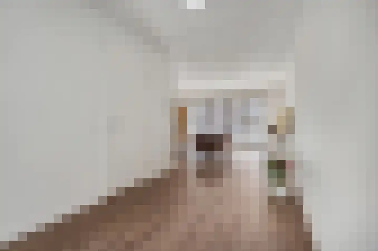 Prof. Bijhouwerstraat 1 Wageningen thumbnail 6