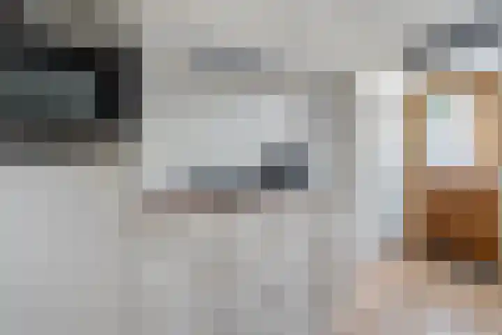 Prof. Blinkweg 9 de Wijk thumbnail 10