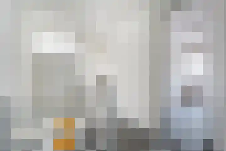 Prof. Blinkweg 9 de Wijk thumbnail 16