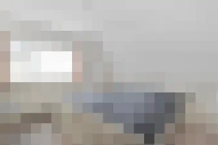 Prof. Blinkweg 9 de Wijk thumbnail 18