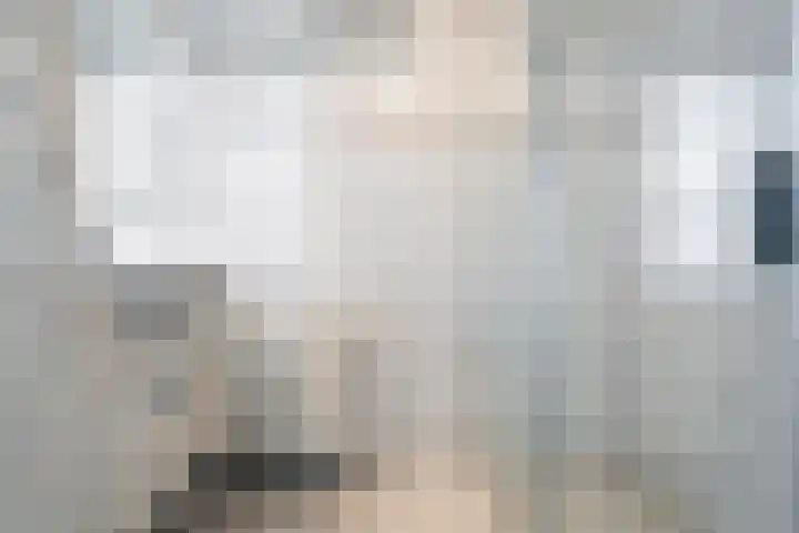 Prof. Blinkweg 9 de Wijk thumbnail 25