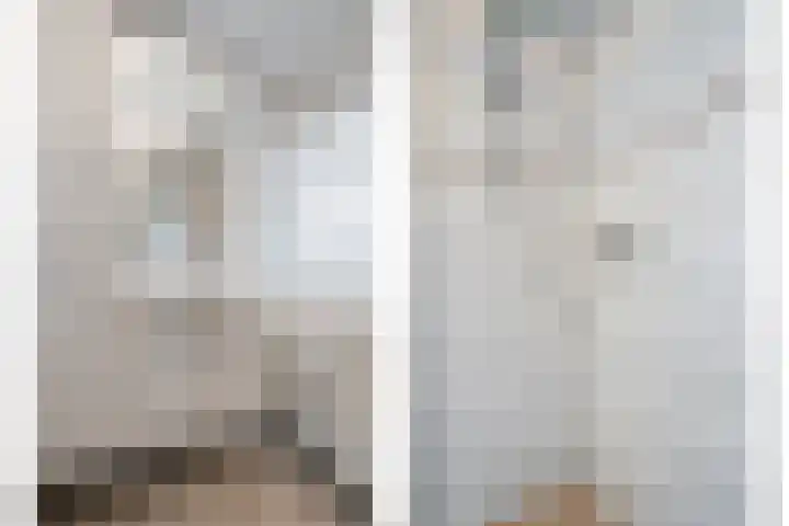 Prof. Blinkweg 9 de Wijk thumbnail 26