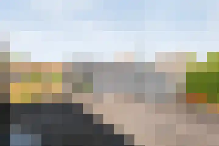 Prof. Blinkweg 9 de Wijk thumbnail 27
