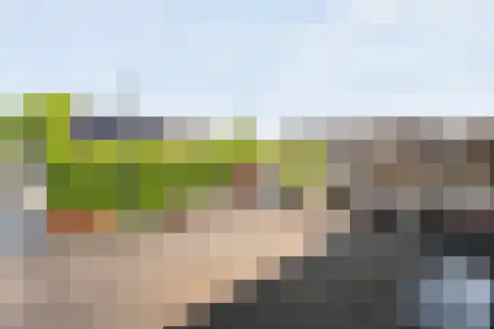 Prof. Blinkweg 9 de Wijk thumbnail 28