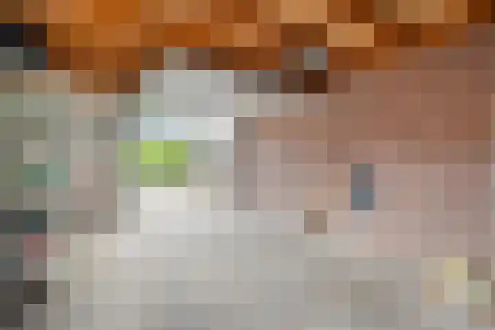 Prof. Blinkweg 9 de Wijk thumbnail 31