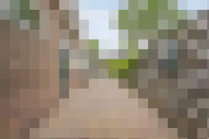 Prof. Blinkweg 9 de Wijk thumbnail 32