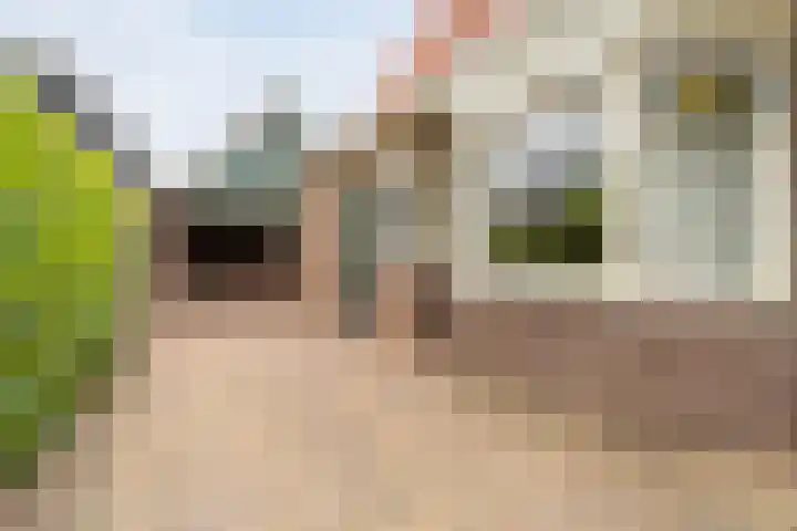 Prof. Blinkweg 9 de Wijk thumbnail 33