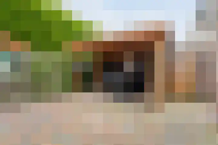 Prof. Blinkweg 9 de Wijk thumbnail 34