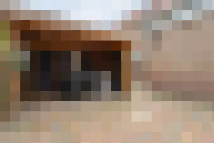 Prof. Blinkweg 9 de Wijk thumbnail 35
