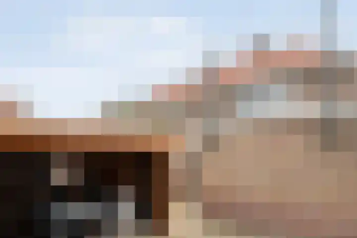Prof. Blinkweg 9 de Wijk thumbnail 36