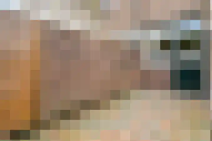 Prof. Blinkweg 9 de Wijk thumbnail 38