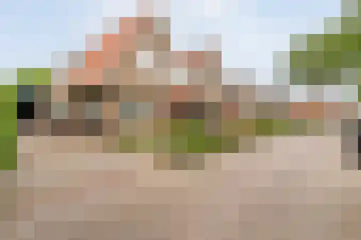 Prof. Blinkweg 9 de Wijk thumbnail 41