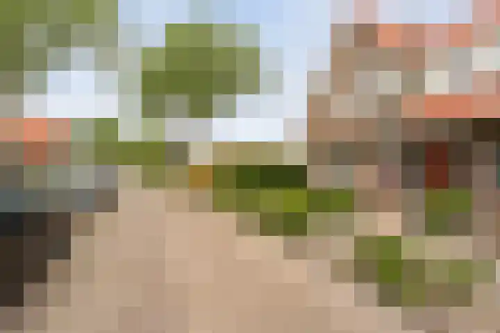 Prof. Blinkweg 9 de Wijk thumbnail 42