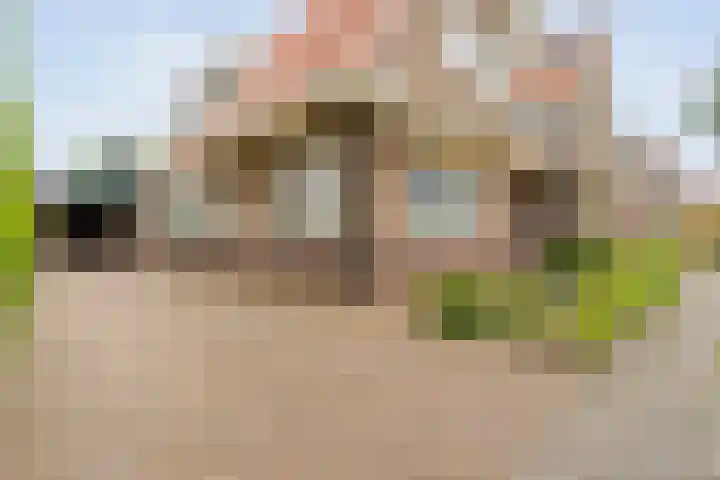 Prof. Blinkweg 9 de Wijk thumbnail 43