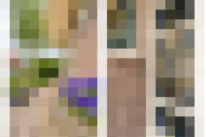 Prof. Blinkweg 9 de Wijk thumbnail 44