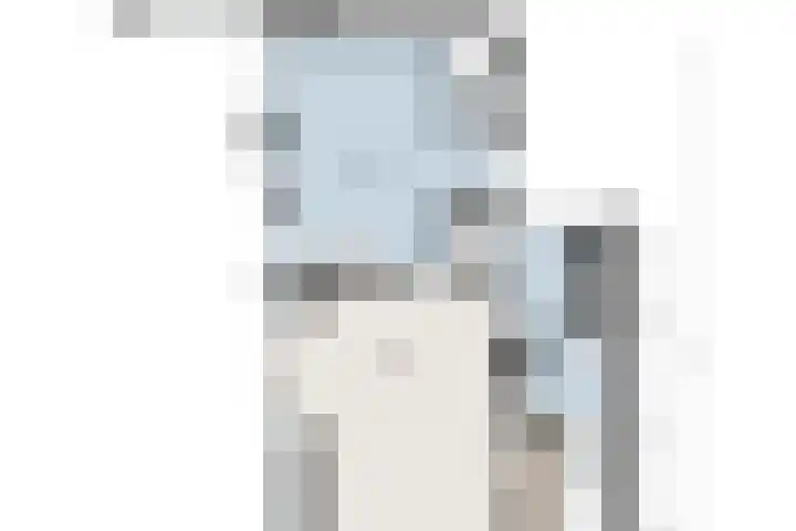 Prof. Blinkweg 9 de Wijk thumbnail 45