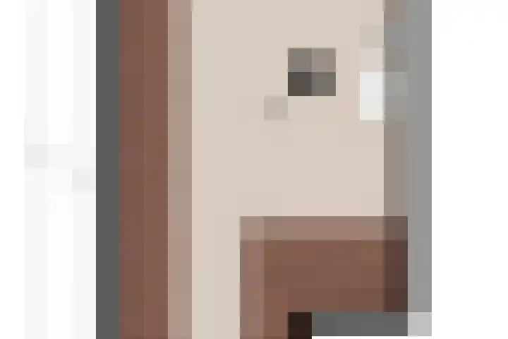 Prof. Blinkweg 9 de Wijk thumbnail 47