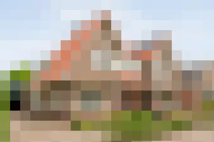 Prof. Blinkweg 9 de Wijk thumbnail 49