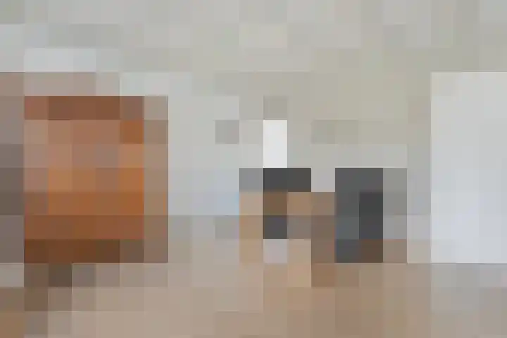 Prof. Blinkweg 9 de Wijk thumbnail 5