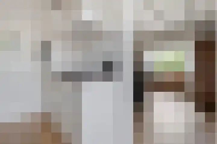 Prof. Blinkweg 9 de Wijk thumbnail 8