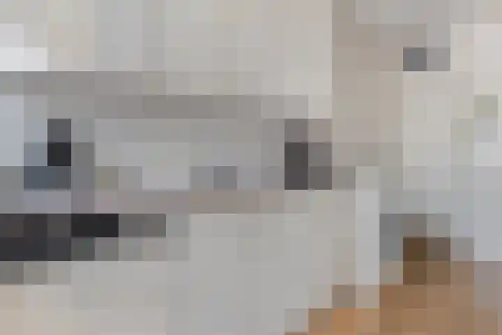 Prof. Blinkweg 9 de Wijk thumbnail 9