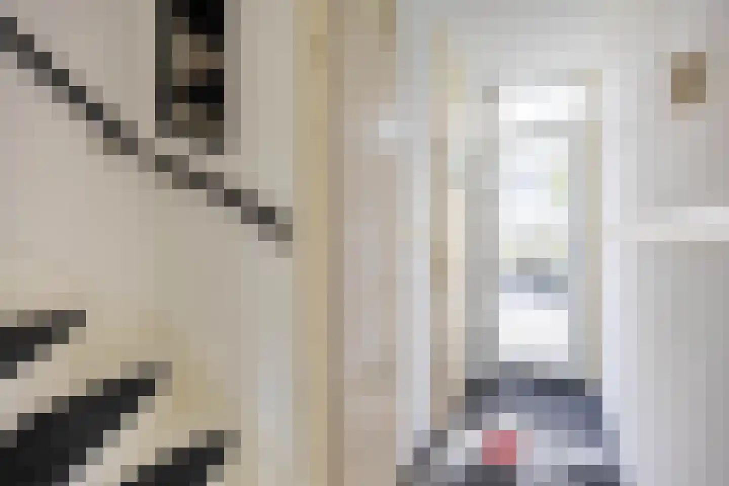 Prof Boermastraat 43 Bedum thumbnail 10