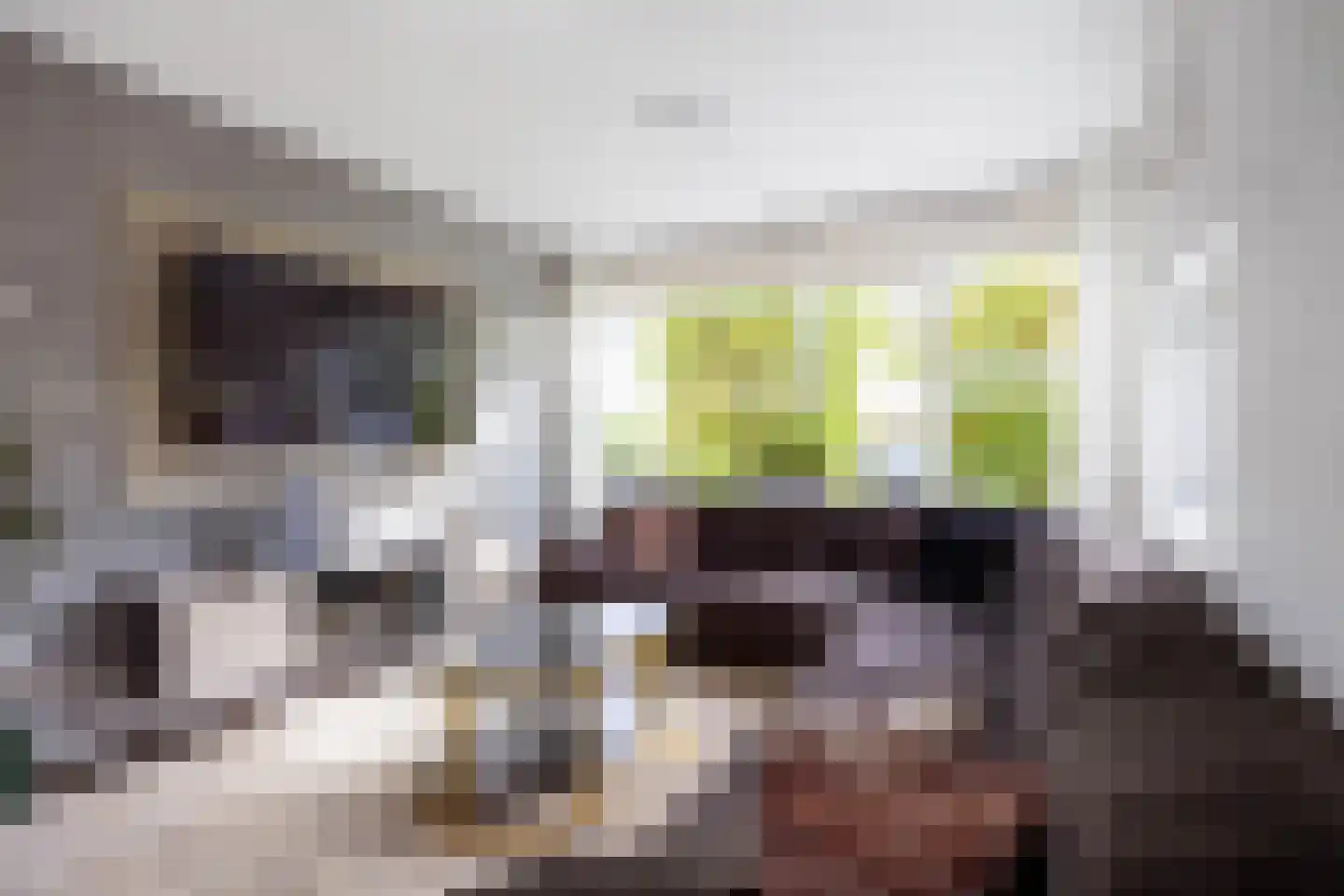 Prof Boermastraat 43 Bedum thumbnail 15