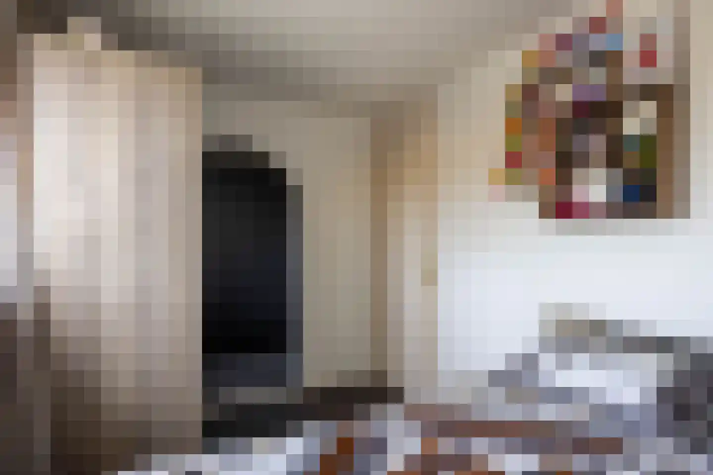 Prof Boermastraat 43 Bedum thumbnail 35