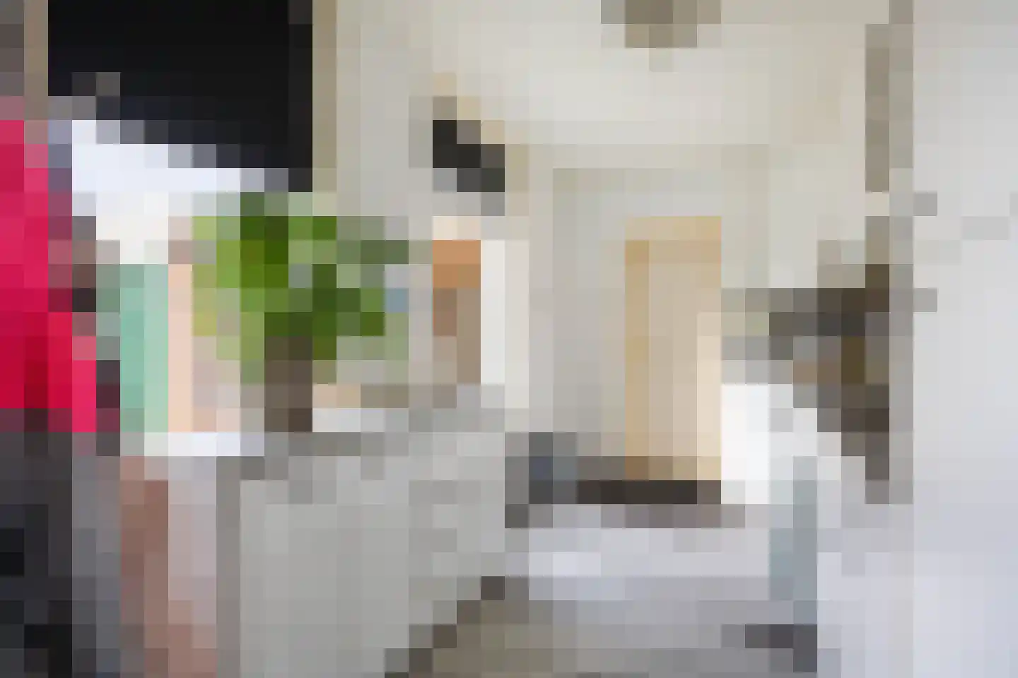 Prof Boermastraat 43 Bedum thumbnail 58