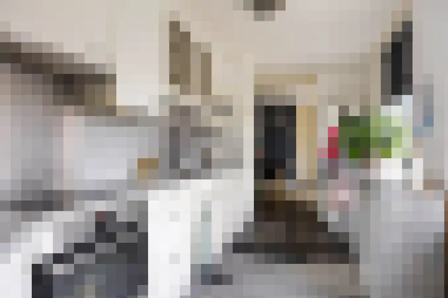 Prof Boermastraat 43 Bedum thumbnail 61
