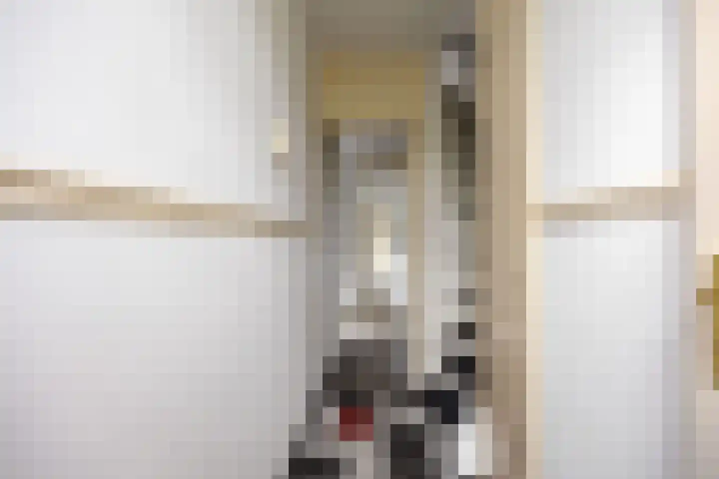 Prof Boermastraat 43 Bedum thumbnail 8