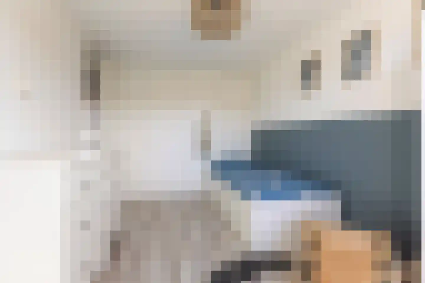 Prof Boermastraat 46 Bedum thumbnail 27