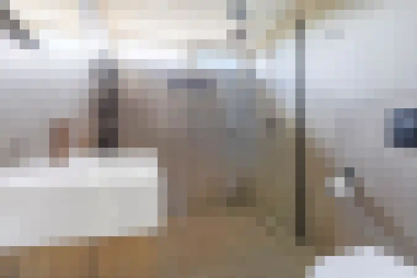 Prof Boermastraat 46 Bedum thumbnail 29