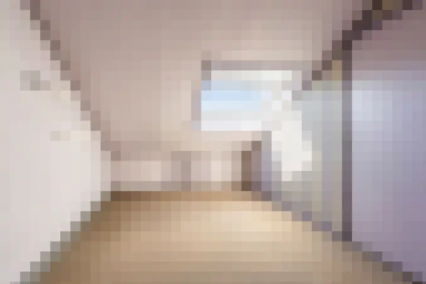 Prof Boermastraat 46 Bedum thumbnail 33