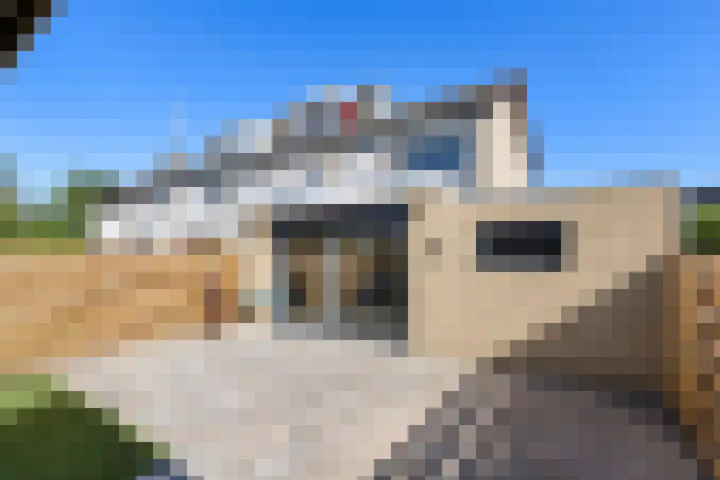 Prof Boermastraat 46 Bedum thumbnail 4