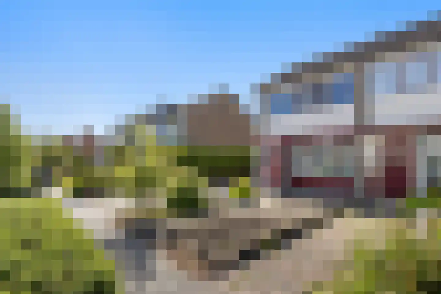 Prof Boermastraat 46 Bedum thumbnail 40