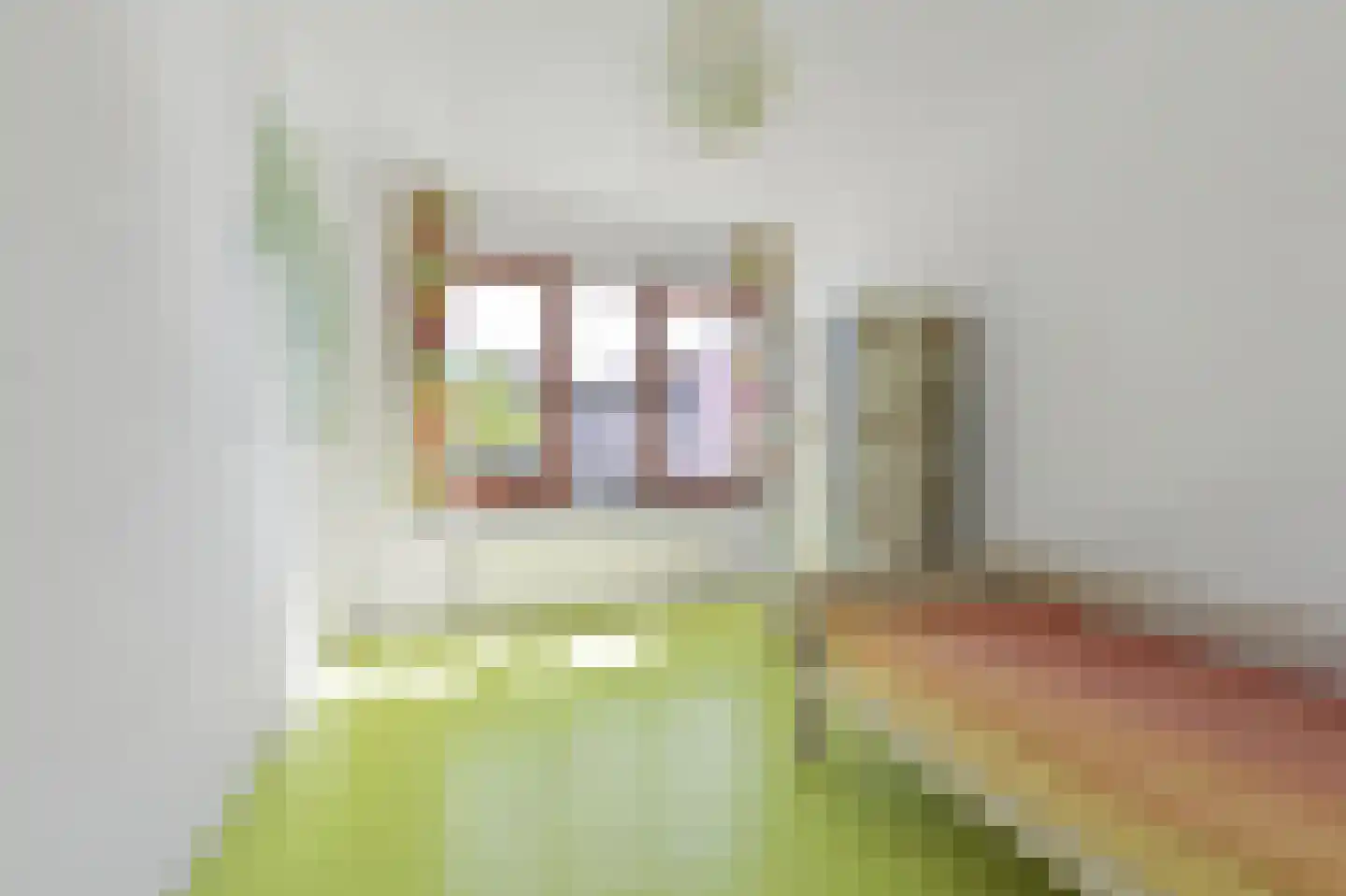 Prof. Bosschastraat 27 Delft thumbnail 20